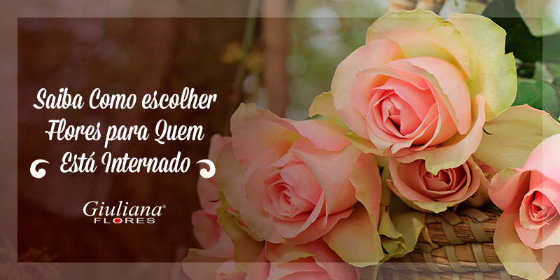 Saiba Como Escolher Flores para Quem Está Internado